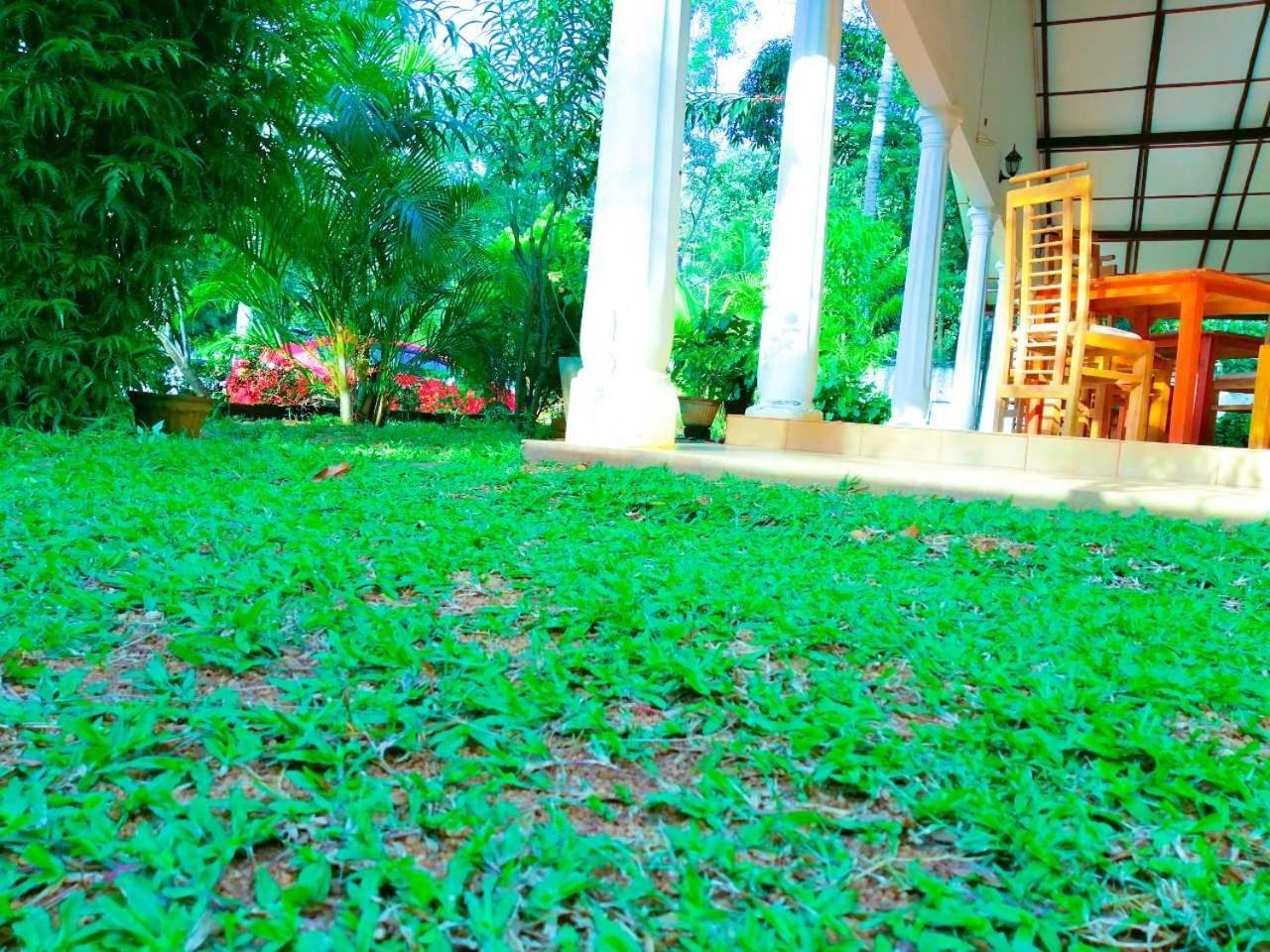 New Sigiri Terrace Hotel Kibissa Exterior foto